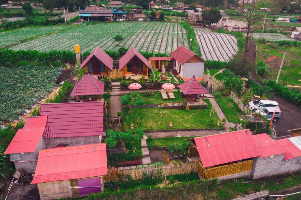 Bukit Catu Bungalows Кинтамани Экстерьер фото